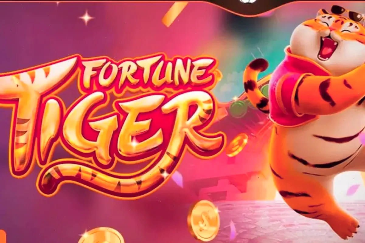 login baji Bingo
